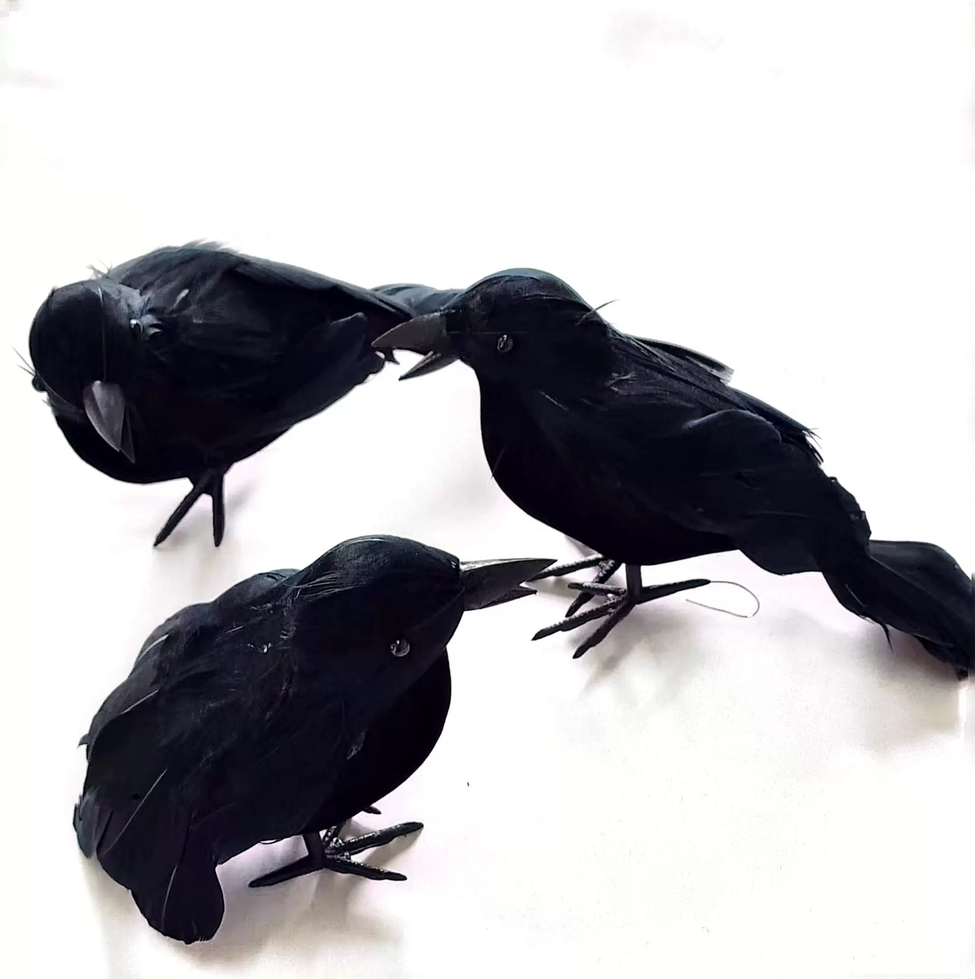 羽毛仿真乌鸦万圣节派对用品装饰摄影场景道具羽毛乌鸦摆件