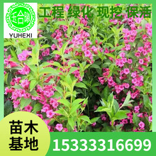 �t�����\������@�־G����ľ�����ͺ��ͺ�ͥԺֲ��G�h��������l