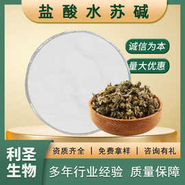 盐酸水苏碱98%保健品原料益母草提取物水溶益母草批发盐酸水苏碱