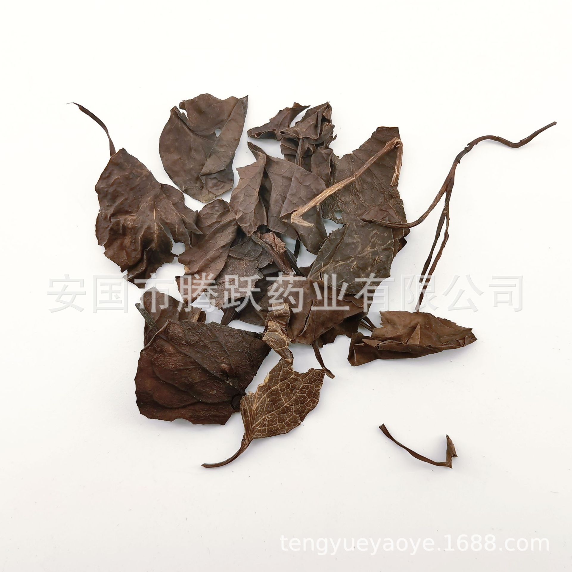Dried Pyrola Herb Lu Xian Cao Whole Plant Traditional Chinese Herbal Tea 500g Bag quality and texture