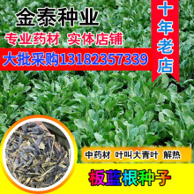���������ӵ���������ҩʳ���ý���ι����ֳ ����Ҷ����������