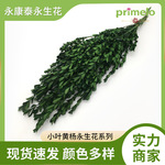 小叶黄杨永生花迷你小花束节日礼盒配饰装饰婚礼花束diy手工材料