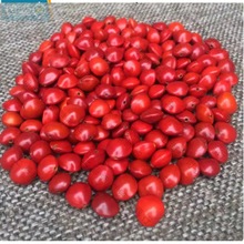 ��Ȼ�t������ԭ����˼�����t���ִ����ɢ��Փ��t������һ�w���