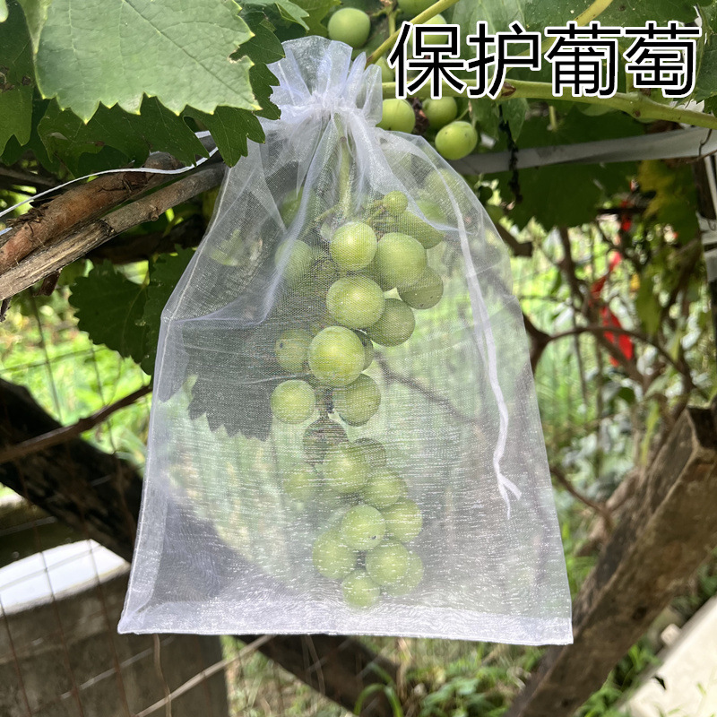 微信图片_20240604153426