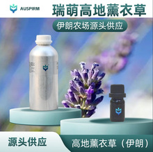 ߵ޹²ݾAUSPIRMrֱշԭԭa