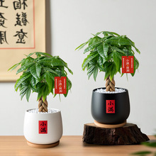 lؔСֲ҃ȿ͏dbʽ辰kGֲP[