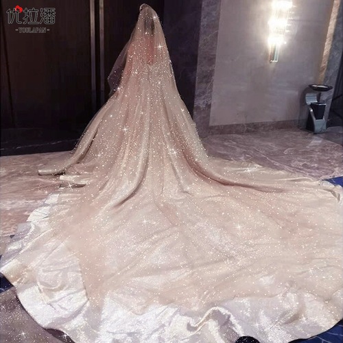 Ulapan Japanese and Korean Sensual Super Fairy Fantasy Bronzing Starry Sky Veil Bridal Champagne Color Wedding Dress Short Veil V101