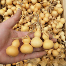 �a��ֱ����Ȼ ���J ��������С���J �����F���� �������J ������