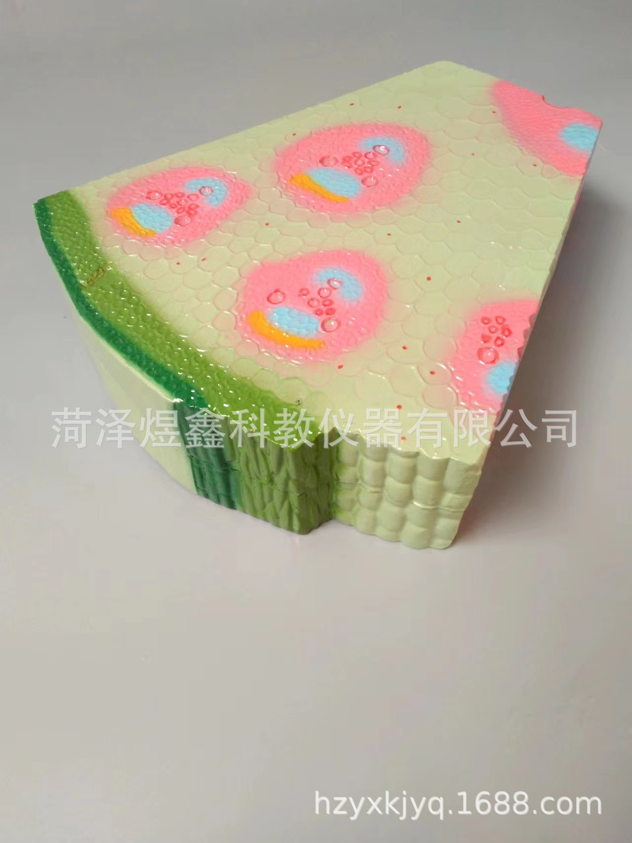 微信图片_20231223100614