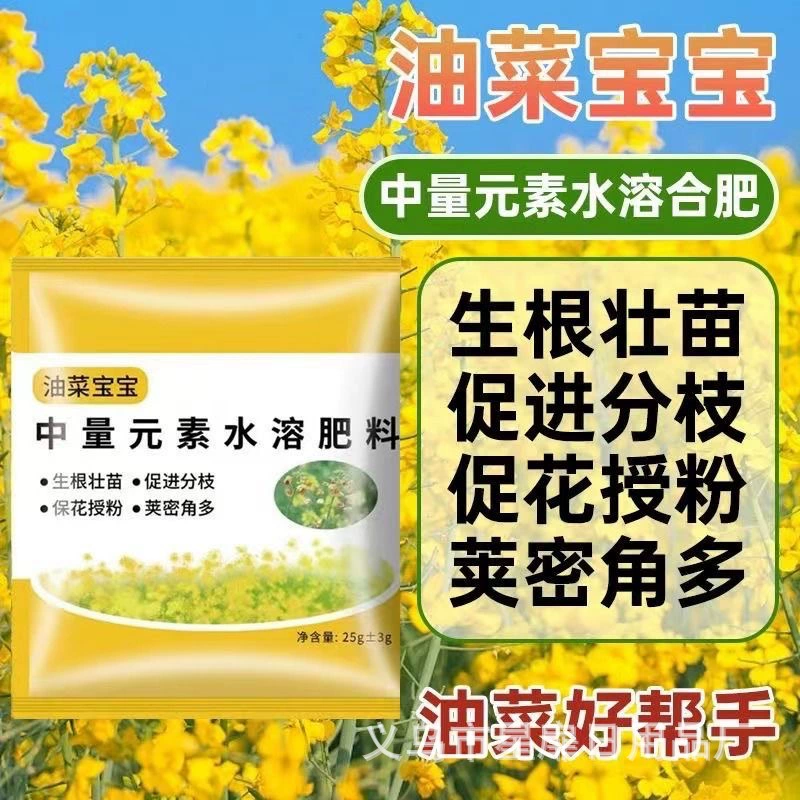 Младенцы рапса повышают выход масла и способствуют опылению цветов