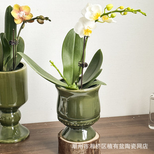 ��ʽ���_�մɻ���Gɫ�������P�ҾӺ����m�͏d�����b���