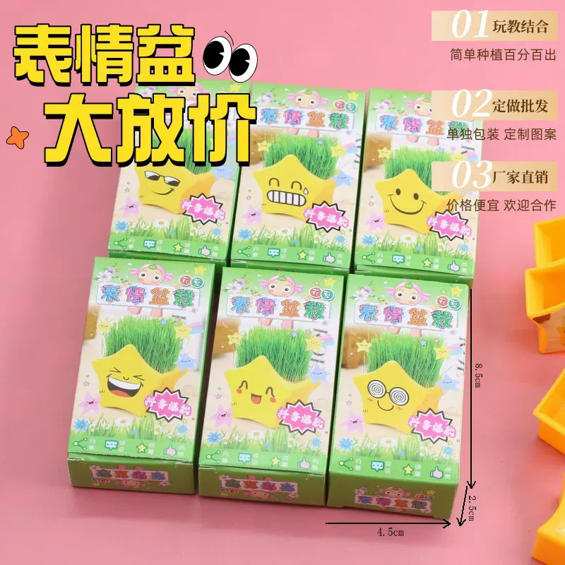 星星表情创意草头娃娃绿植室内盆栽植物幼儿园手工圣诞节小礼物