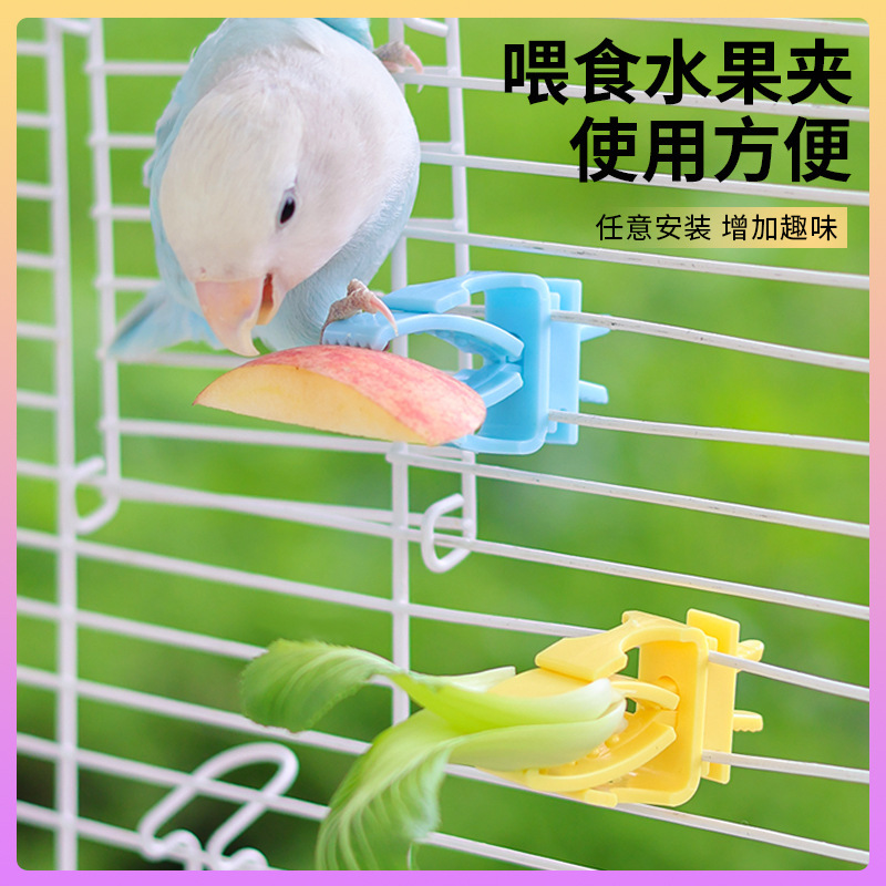 オウムの果物と野菜を挟んで果物とお菓子を挟みます。|undefined