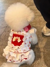 С��Ȯ�����·�����؈��ɐ۴���Сȹ�ӱ��ܲ����»�̩�Ϲ���ȹ��