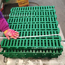 双筋加厚塑料羊粪板厂家羊用PP漏粪多规格可拼接高架羊床