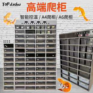 PVC�����،m����������B��6A4��Ϻн޽��ߙ�����a����