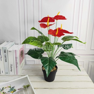 �S��ֱ�N 3D����t���^�z�ָ��~�Gֲ�ٻ����� �Ҿ��bF؛���l