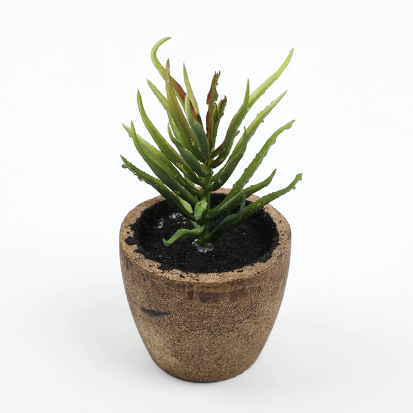 Blue pine-old green
