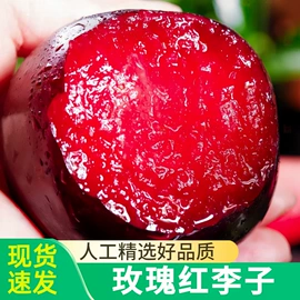 其他水果;块茎类;梨
