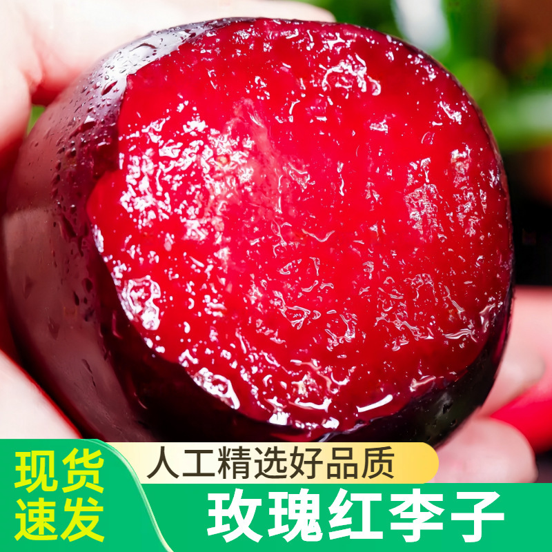Henan Seasonal Flavored Rose Blood Plum, Red Heart Plum, Seasonal Fruit, Black Plum, Red Flesh Dinosaur Egg Plum