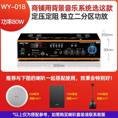Amplifier Speaker, Car speaker/subwoofer