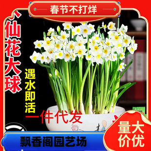 һ�����lˮ�ɻ��N��ˮ��ֲ�ﺬ��ˮ�B�����҃ȾGֲ�������L������