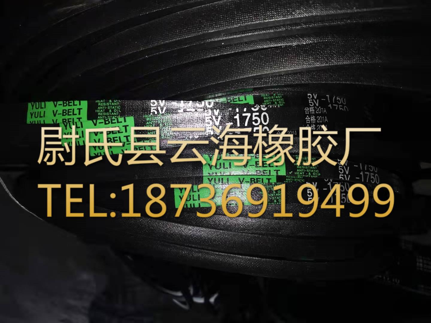窄V带  机械设备用三角带  水泥设备用5V三角带5V1750（4445mm）