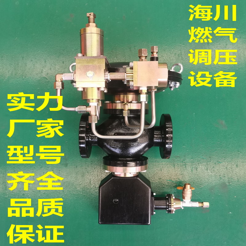 江苏大丰RTJ-50DKQ  RTJ-80DQ燃气调压阀 天燃气管道锅炉减压阀