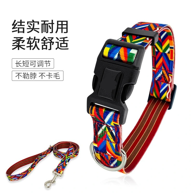 Perro cuerda Arco Iris cinturón perro caminando cuerda transfronteriza Venta caliente mascota entrenamiento collar Correa perro grande cuerda suministros para mascotas al por mayor