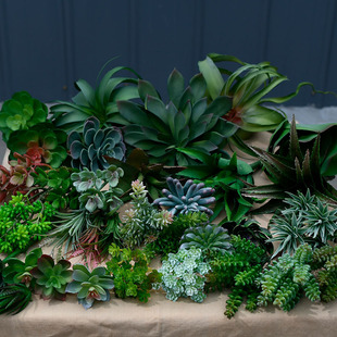 �������ֲ���P��Ҿ��b����J�C�҃ȾGֲ�M�Ͼ��^������Ք[��