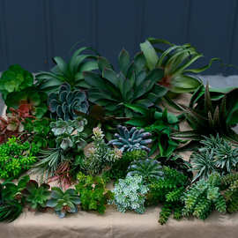 仿真多肉植物凤梨家居装饰多肉芦荟室内绿植组合景观美陈拍照摆件