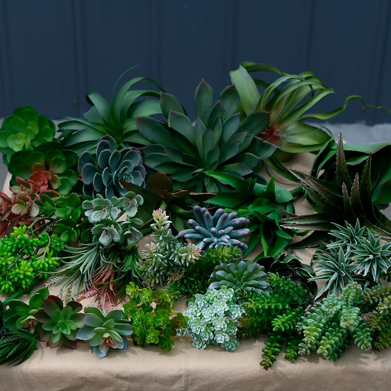 Simulation succulent plant pineapple home decoration succulent aloe vera indoor green plant combination landscape beauty Chen photo ornaments