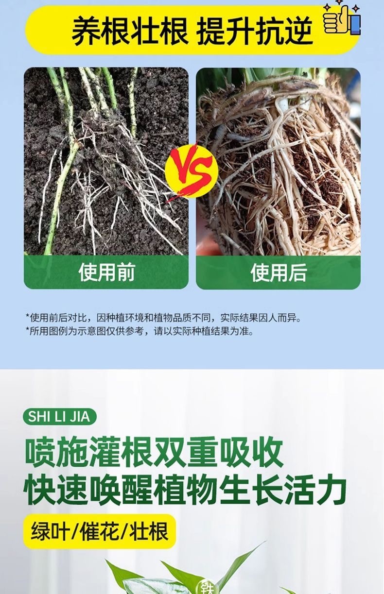 76f3592b-27cc-48f0-bec2-4df4ded2facd.jpe