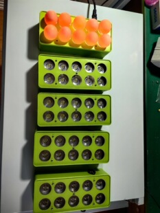 �յ��� 10ö�յ��� ���P�յ���