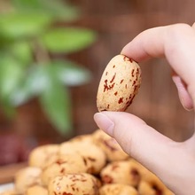 ȥƤ�o�˼t���½��җ������Ҝ�ȥ�˴���ϴÓƤ���ɽ�����ʳ��؛