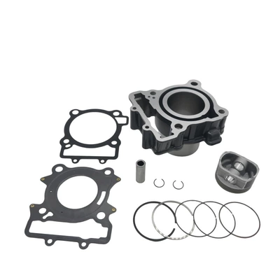 Duke250 Rc250 Cylinder Set – Cylinder and parts