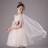 Children's skirt, wedding dress, small princess costume, suitable for teen, wholesale