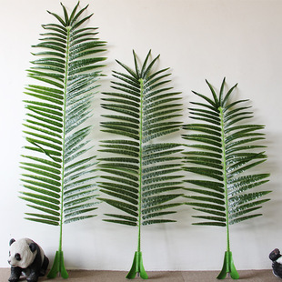 ����Ҭ�Ә��~���������ֲ���z��٘�������~�bM�����˿����@