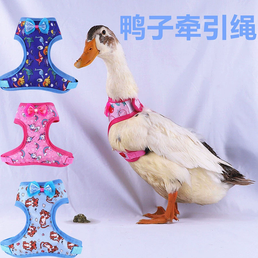Утиная прогулочная веревка Регулируемая прогулочная утка Грудь Назад Коул Утка Тяговая веревка Ходячий Гусь Цыпленок Тяговая веревка для домашних животных Кролик Тяговая веревка