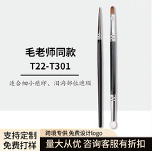 ë��ʦͬ��t301˫ͷ���ˢ ��׼t22�ṵˢ��ӡ���໯ױˢһ������