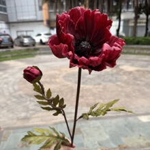 �¿����tɫ�������S��2�^PU�����ڻ� ��Y�Ҿ�ܛ�b�Ĕz�ٻ����l