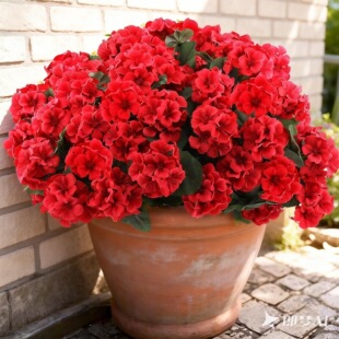 ���δ�ɫϵ5��5�^���ÿ����滨�����ٻ����콁�����R�d���T���Ļ�