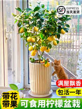 ˮʘԎʳÿ͏dϘGֲ̨҃ļBֲ辰