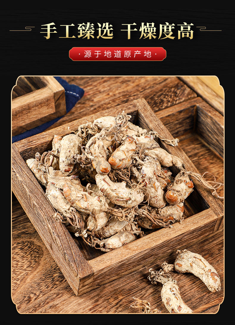 Jin Chan Hua (Cordyceps cicadae) — Dried Cicada Flower Fungus, Food Herb for Soups & Teas in use
