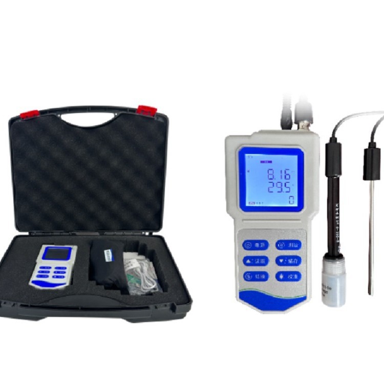 便携式溶解氧测定仪（溶解氧，5米线） 型号:PDO-408库号M259022