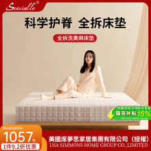 ϯ��˼���|����ƫӲ�o���o���S�骚��������20cm��ɲ�ϴ�{������