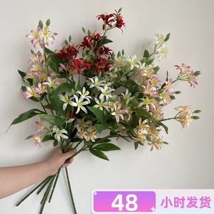 ������y�� ��c��Y�ò廨·�������仨�Ƶ�ҾӲ����[�Ż� ���l