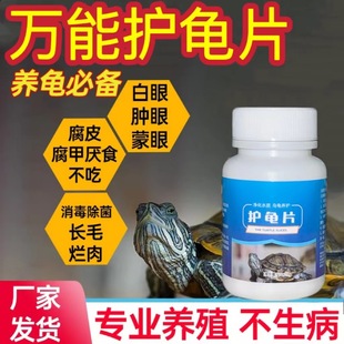 No-Cook Longan Leaf Rotting Skin and Rotten Nails to Regulate and Improve Water Quality. Turtle Tank Landscaping Turtle Protection Tablets for Turtle Farming