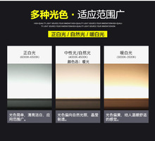 220v����ledܛ�􎧱��������l�������b���ճ����չ���NƬ���l��