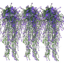 �����ȼ����軨�ٗl�羳������������Ҿӑ����҃Ȼ��@��Y�b�Ʒ